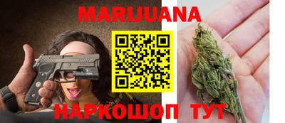 сатива Шахты